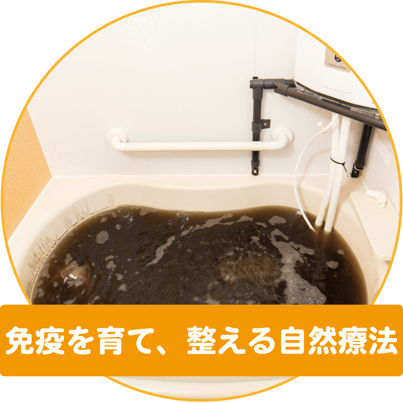 免疫を育て、整える自然療法