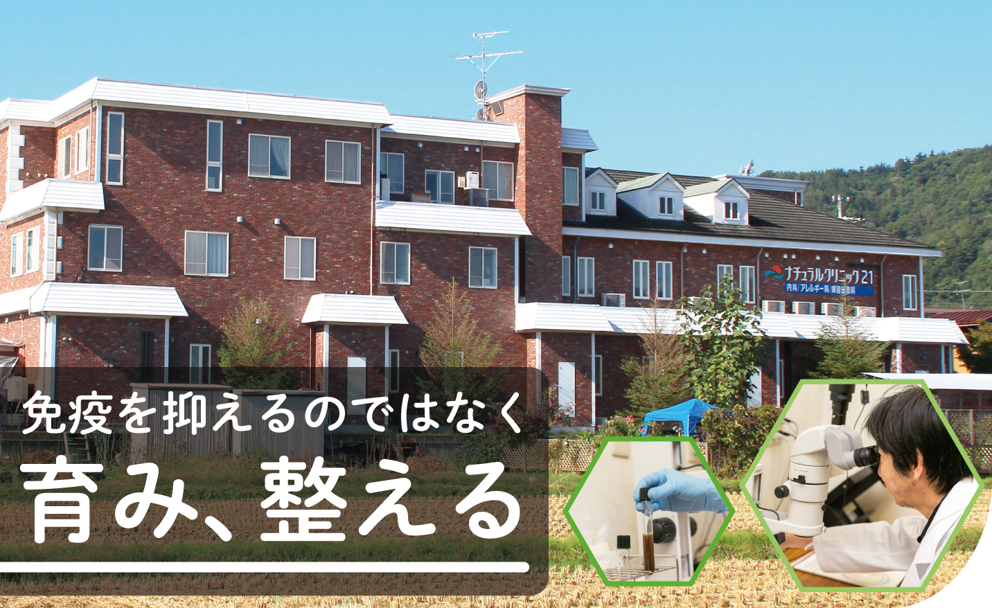 免疫を抑えるのではなく育み、整える