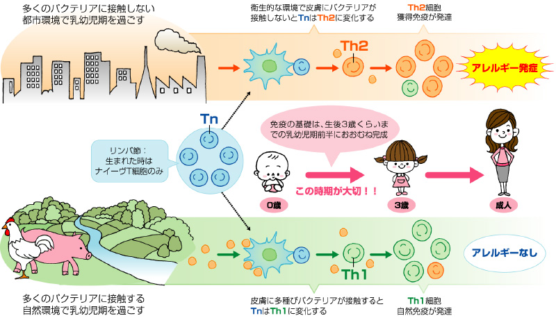 アレルギー増加要因