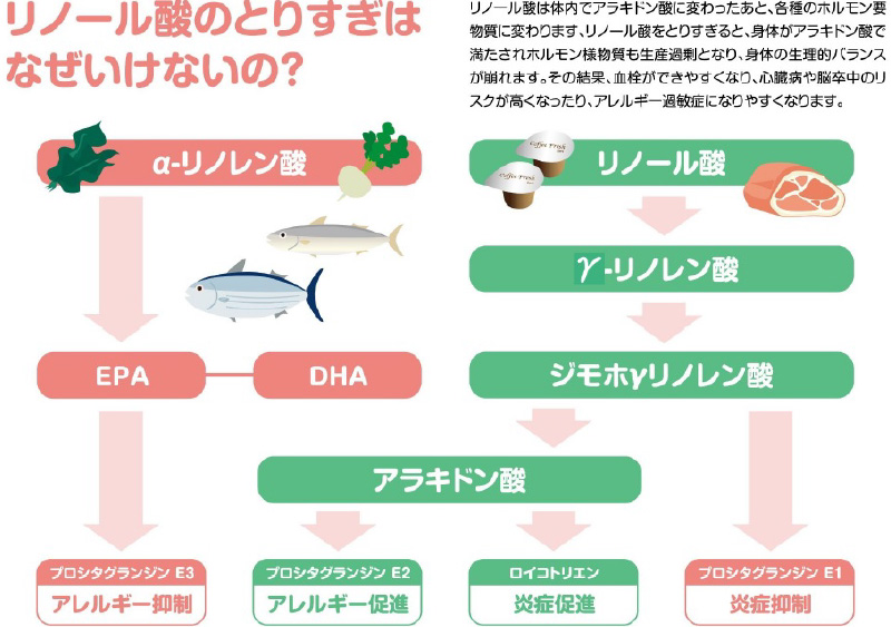 リノール酸