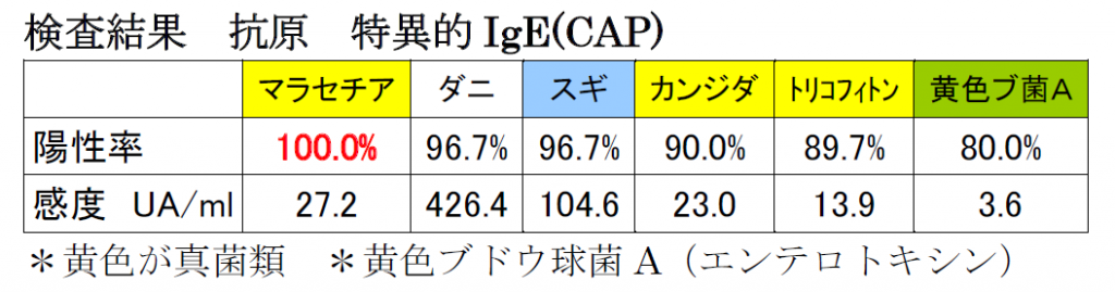 マラセチアIgE検査結果