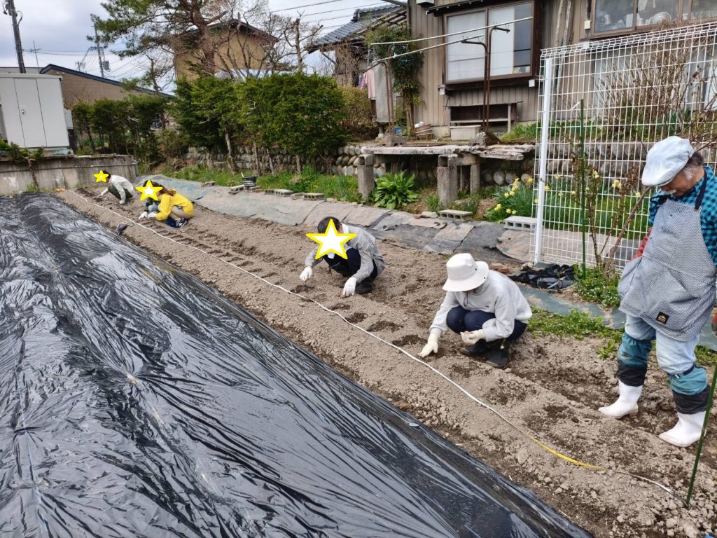 じゃがいも植え