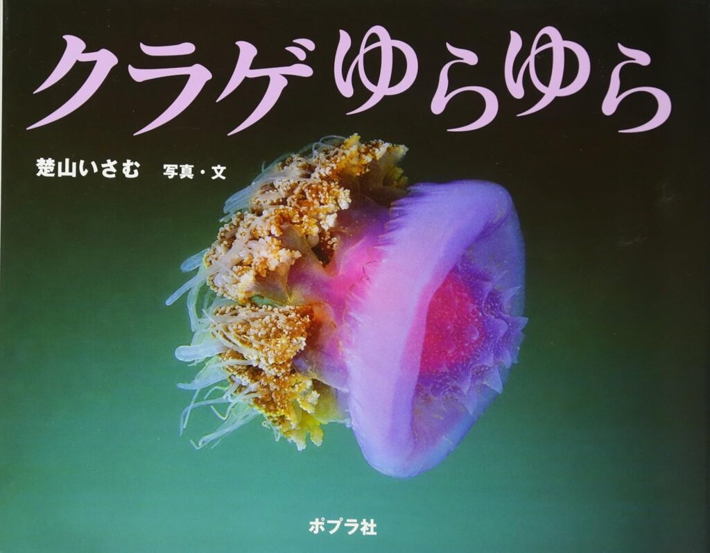 クラゲの図鑑