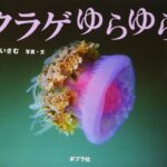 クラゲの図鑑